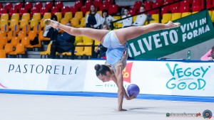 sella viola  ball sfa00136 copia